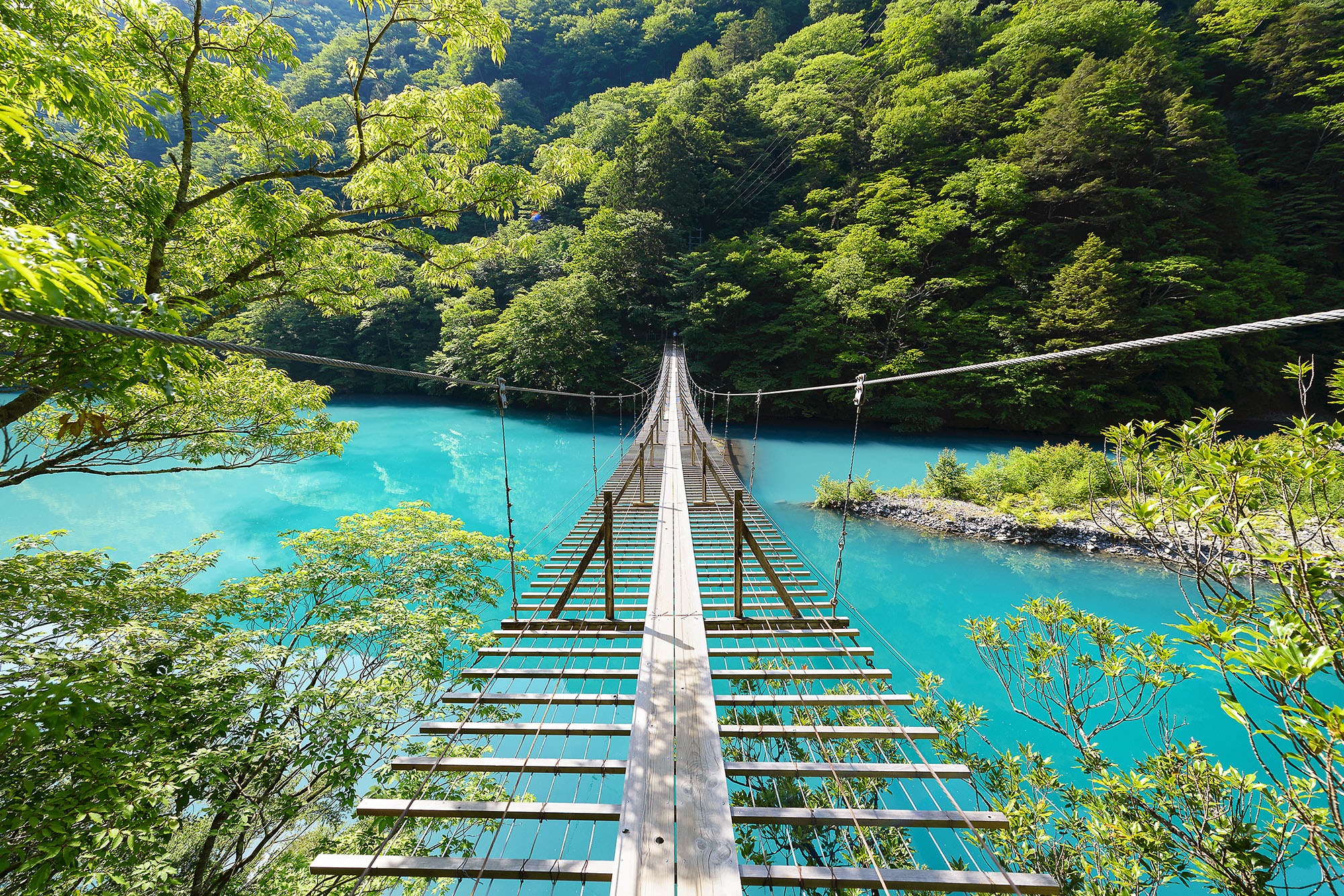 Yume No Tsuribashi A Ponte Suspensa Dos Sonhos Em Shizuoka Veja Online