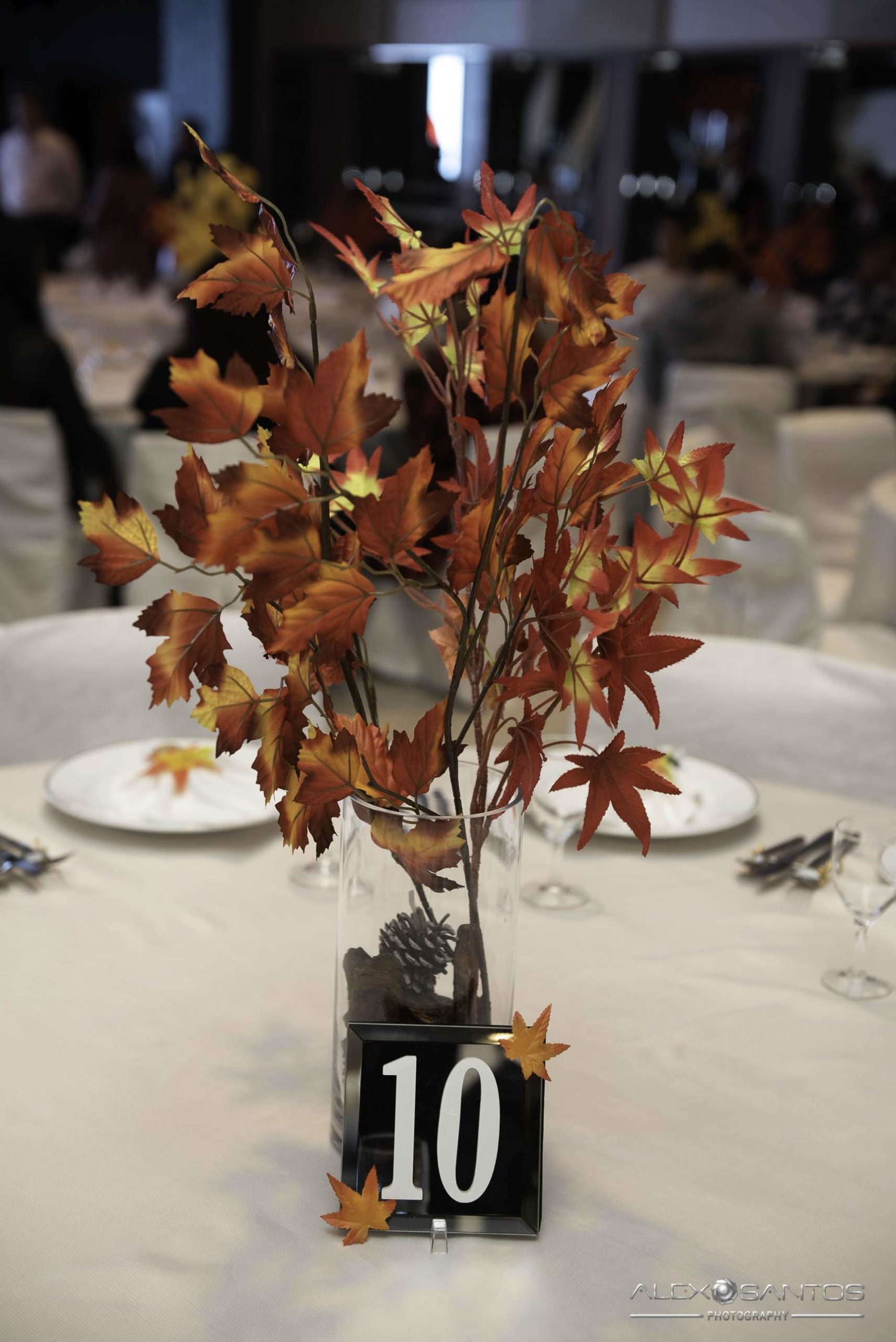 Revista Super Vitrine celebra 13 anos com jantar e Show da banda Onze:20