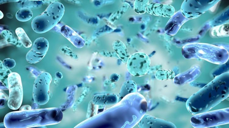 Cientistas revivem micróbios de mais de 100 milhões de anos