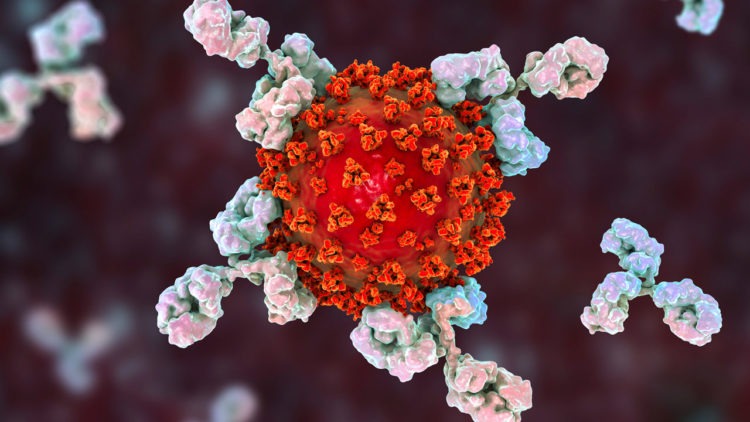 Japão registra 1.348 casos de COVID-19 na quarta-feira