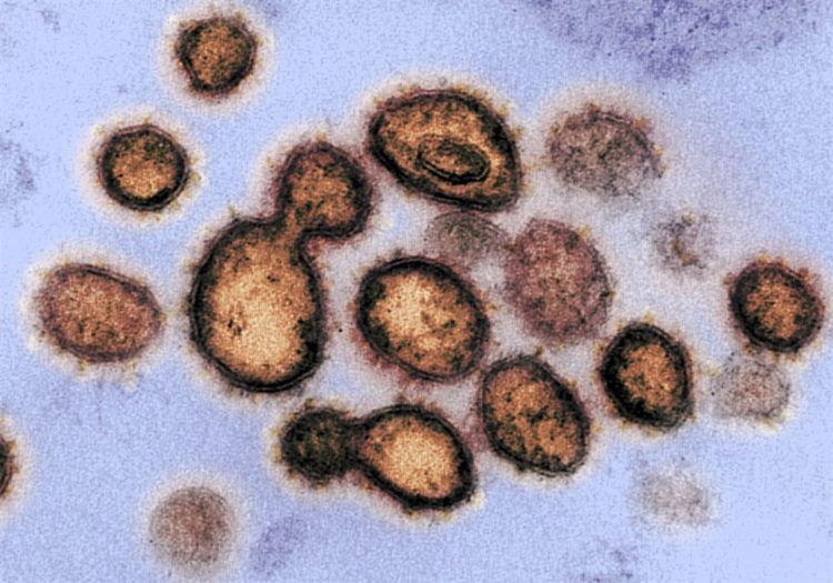 Japão confirma 958 casos de COVID-19 na segunda-feira