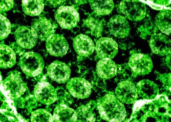 Japão confirma 429 novos casos de COVID-19 na segunda-feira