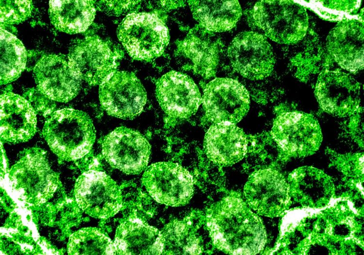 Japão confirma 429 novos casos de COVID-19 na segunda-feira