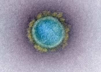 Japão registra 1.185 casos de COVID-19 na quinta-feira