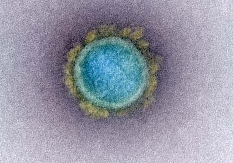 Japão registra 1.185 casos de COVID-19 na quinta-feira