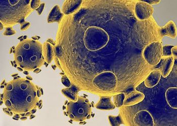 Japão registra 1.448 casos de COVID-19 no domingo