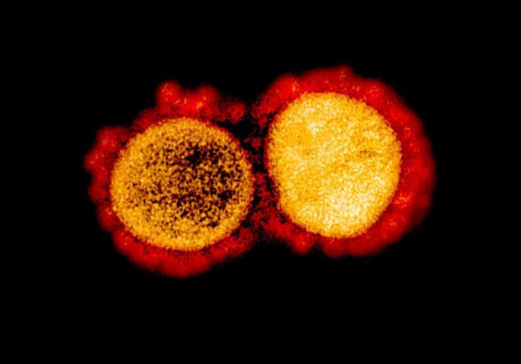 Japão registra 600 casos de COVID-19 no domingo