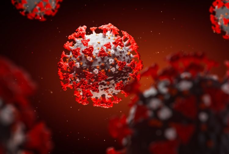 Japão registra 1536 casos de COVID-19 no sábado