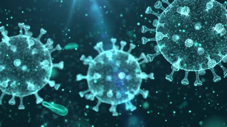 Japão registra 745 casos de COVID-19 no domingo