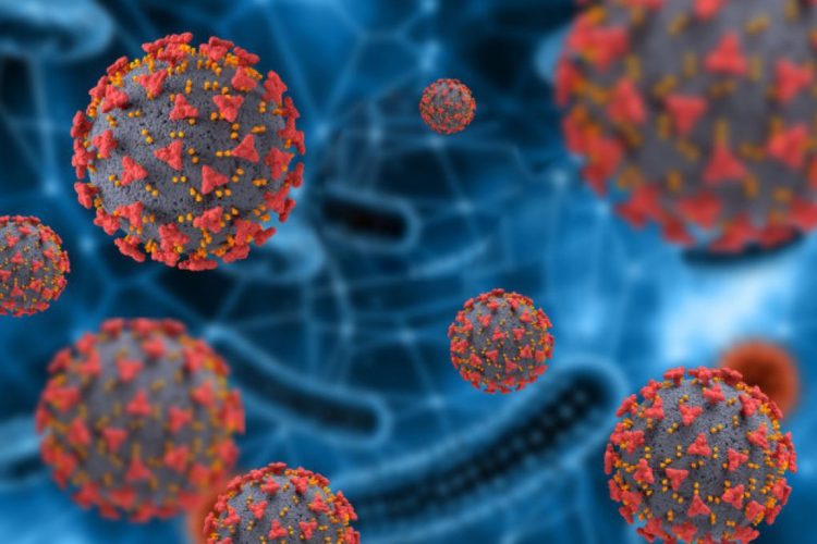 Japão registra 700 casos de COVID-19 na terça-feira