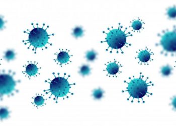 Japão registra 836 casos de COVID-19 na segunda-feira