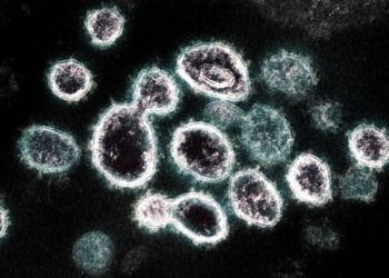 Japão registra 1.605 casos de COVID-19 na sexta-feira