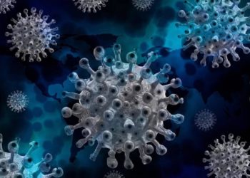 Japão confirma 1.239 casos de COVID-19 na terça-feira