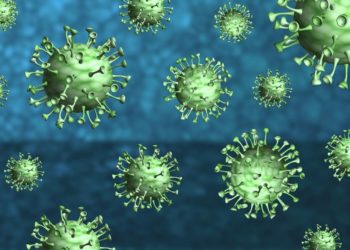 Japão registra 716 novos casos de COVID-19 na terça-feira