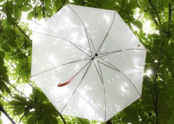 Temporada de chuvas termina também em Hokuriku e Tohoku