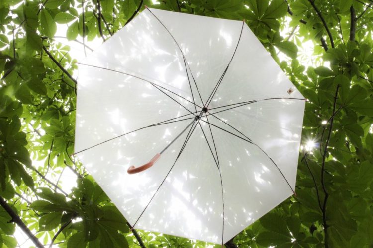 Temporada de chuvas termina também em Hokuriku e Tohoku