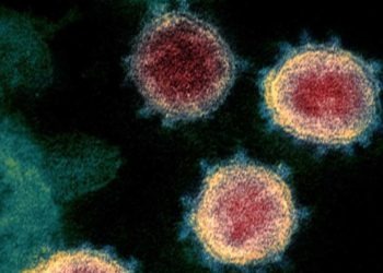 Japão confirma 293 novos casos de COVID-19 na segunda-feira