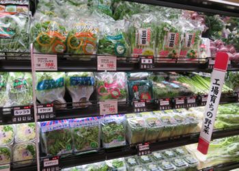 Preço dos legumes no Japão volta a média anual