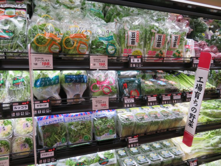 Preço dos legumes no Japão volta a média anual