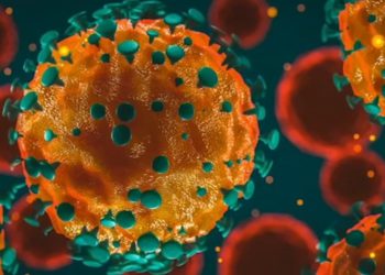 Japão registra 442 casos de COVID-19 na terça-feira