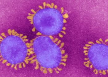 Japão registra 601 casos de COVID-19 no sábado