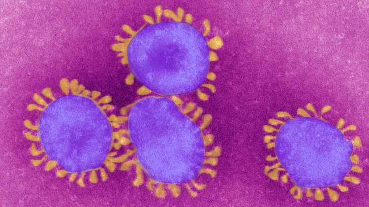 Japão registra 601 casos de COVID-19 no sábado