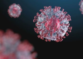 Japão registra 331 casos de COVID-19 na terça-feira