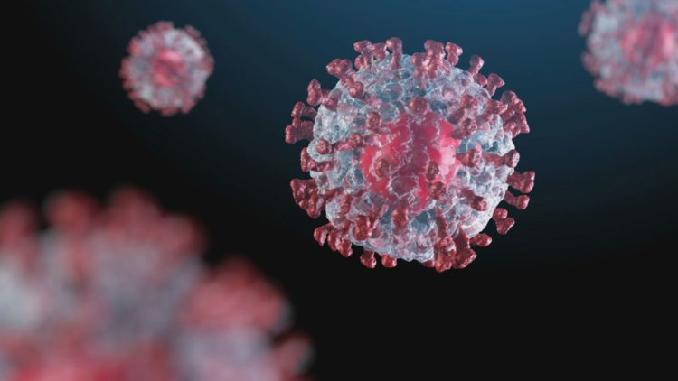 Japão registra 331 casos de COVID-19 na terça-feira