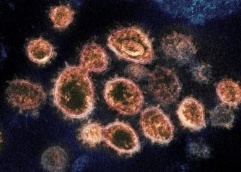 Japão registra 692 novos casos de COVID-19 na quinta-feira