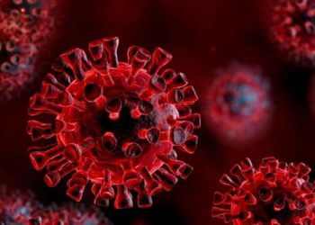 Japão registra 572 novos casos de COVID-19 na sexta-feira