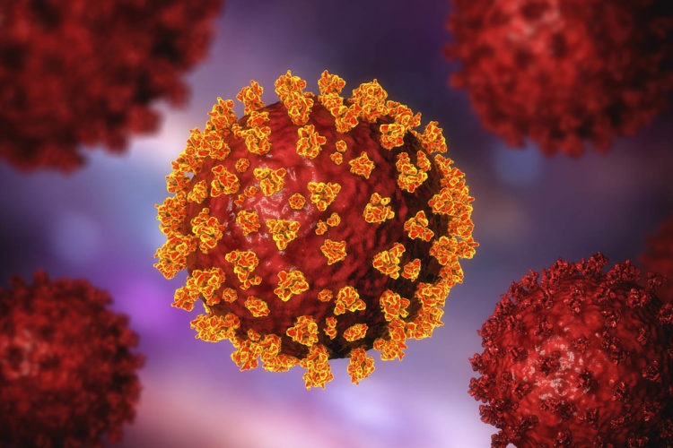 Japão registra 596 casos de COVID-19 no sábado