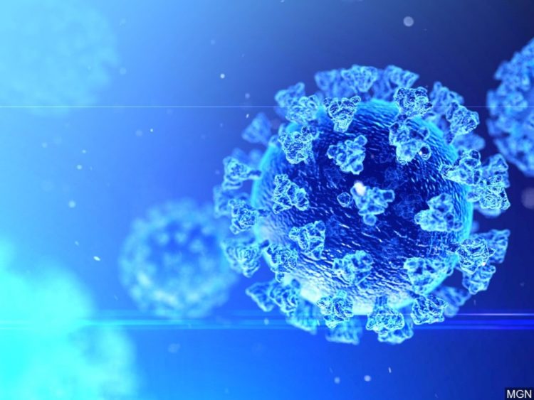 Japão registra 592 novos casos de COVID-19 na quarta-feira