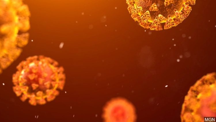 Japão registra 440 casos de COVID-19 no domingo