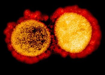 Japão registra 451 novos casos de COVID-19 no domingo