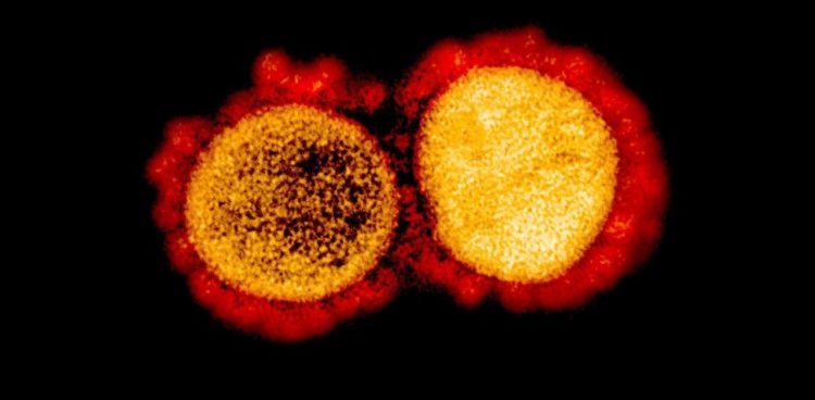 Japão registra 451 novos casos de COVID-19 no domingo