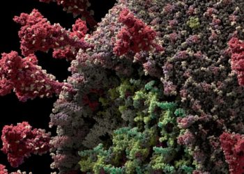 Japão confirma 287 casos de COVID-19 na segunda-feira