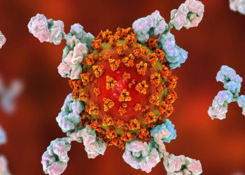 Japão registra 512 casos de COVID-19 na terça-feira