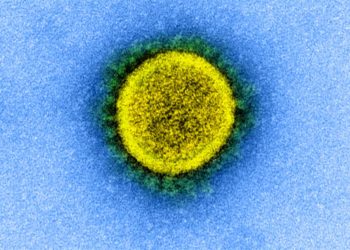 Com Hokkaido registrando maior número de novos casos desde o início da pandemia, Japão registra 876 novos casos de COVID-19 no sábado