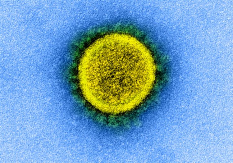 Com Hokkaido registrando maior número de novos casos desde o início da pandemia, Japão registra 876 novos casos de COVID-19 no sábado