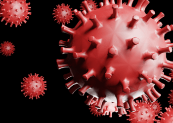 Japão confirma 318 casos de COVID-19 na segunda-feira