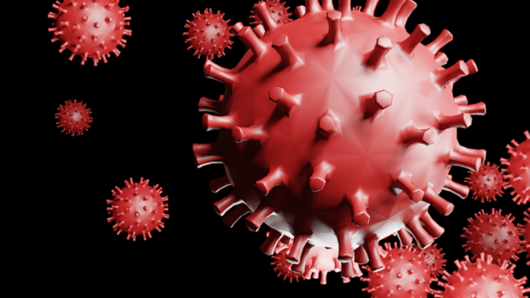 Japão confirma 318 casos de COVID-19 na segunda-feira