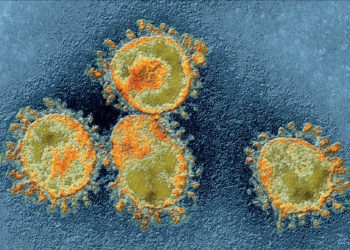 Japão registra 500 casos de COVID-19 na terça-feira