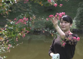 Princesa Mako completa 29 anos no sábado