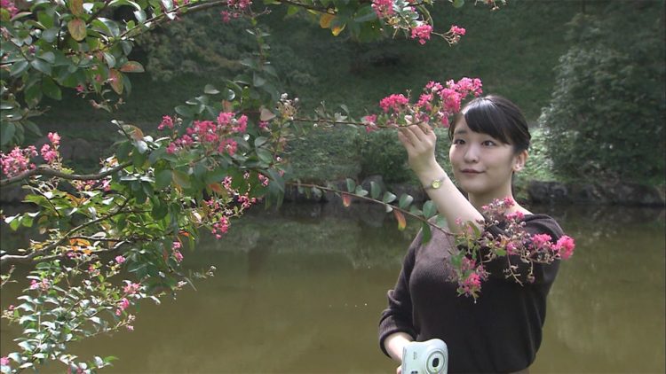 Princesa Mako completa 29 anos no sábado