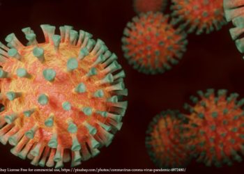 Japão registra 944 casos de COVID-19 na segunda-feira