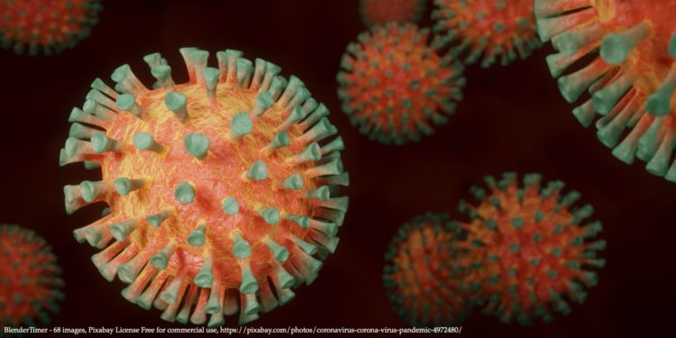 Japão registra 944 casos de COVID-19 na segunda-feira