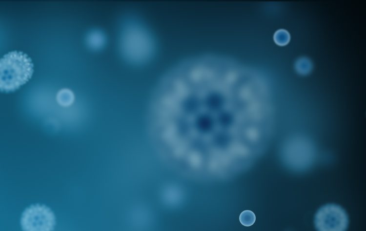 Japão registra 489 novos casos e 12 mortes por COVID-19 na segunda-feira