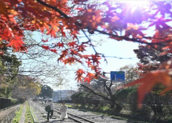 Quase 150 lugares do Japão registram temperaturas incomuns para esta época do ano na quinta-feira