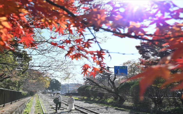 Quase 150 lugares do Japão registram temperaturas incomuns para esta época do ano na quinta-feira