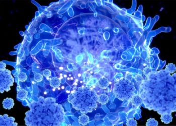 Japão registra 2092 novos casos de COVID-19